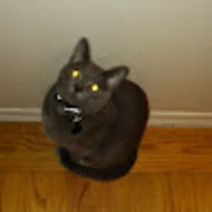 Meet your Posher, Kamytronix